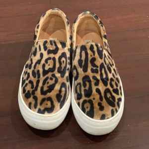 Steve Madden Cheetah Platform Sneaker